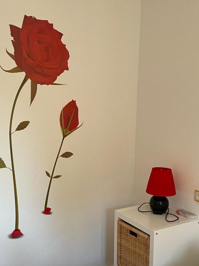 Apartamento Beatriz Κουένκα Εξωτερικό φωτογραφία